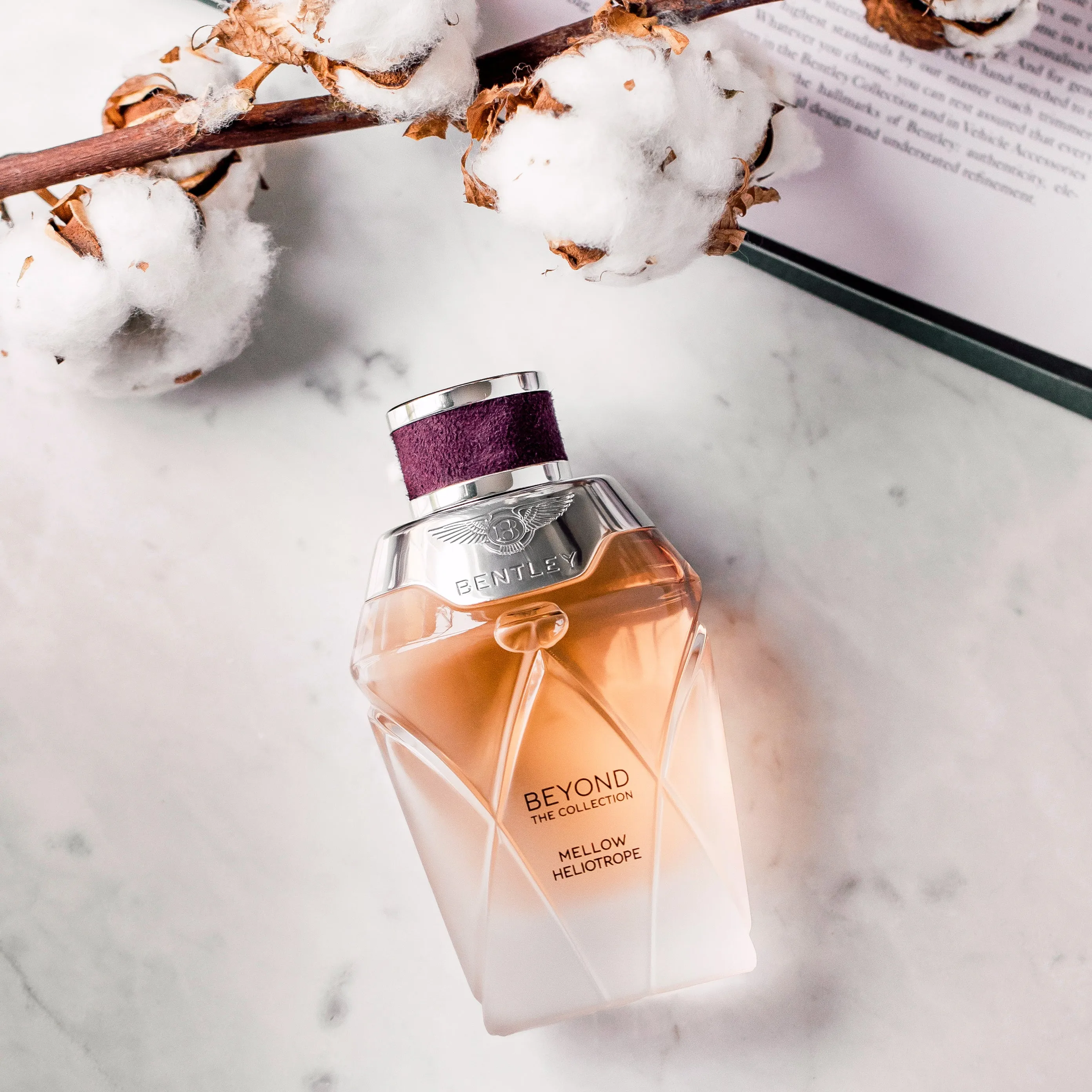 Bentley Beyond Feminine - Mellow Heliotrope Eau de Parfum