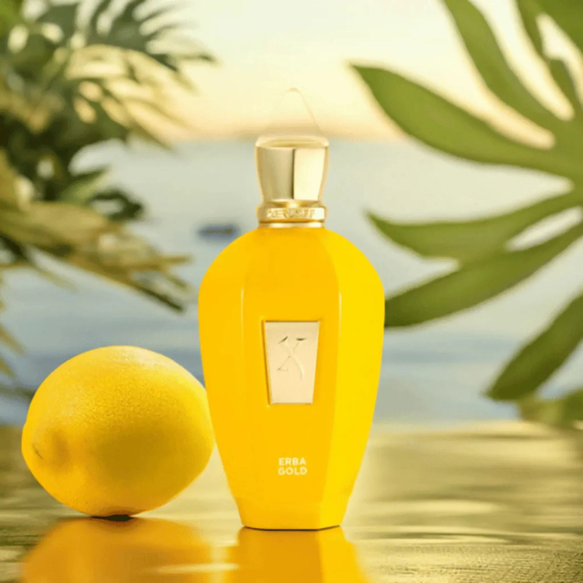 Erba Gold