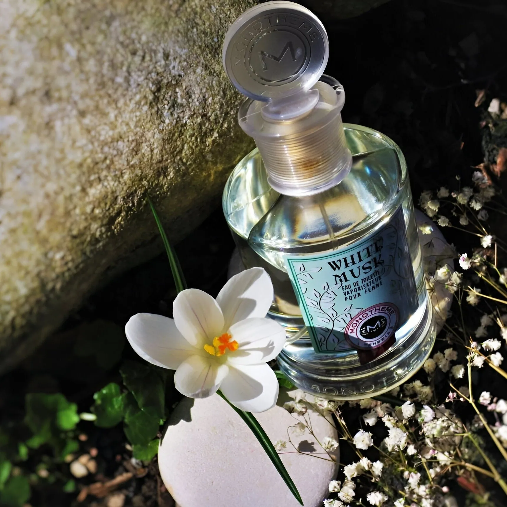 Monotheme White Musk EDT