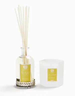 Nickel Home Ambiance Gift Set: Grapefruit Antica Farmacista