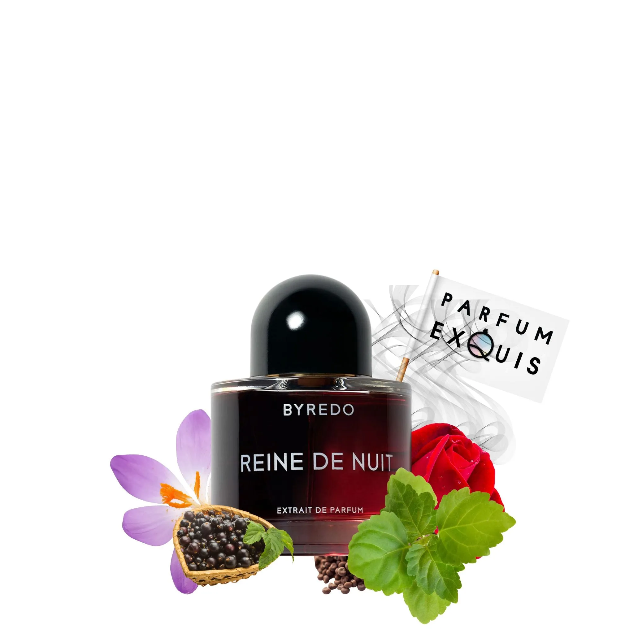 Reine de Nuit Night Veils