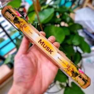 Tulasi: Musk