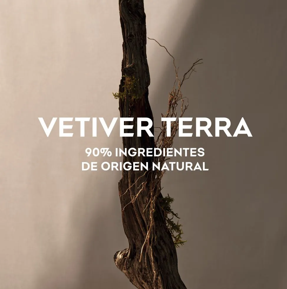 Vetiver Terra Edp